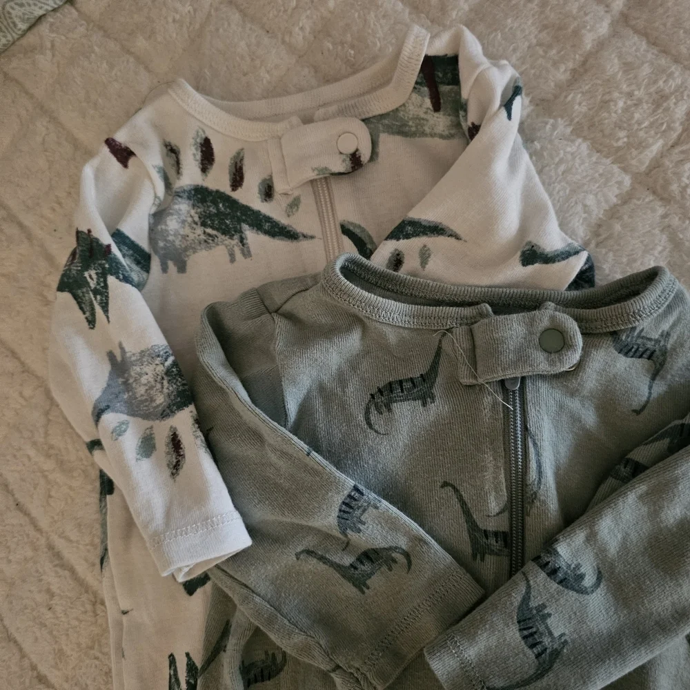 Dinosaur Print Baby Onesies Pair